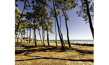 La Tranche-sur-Mer